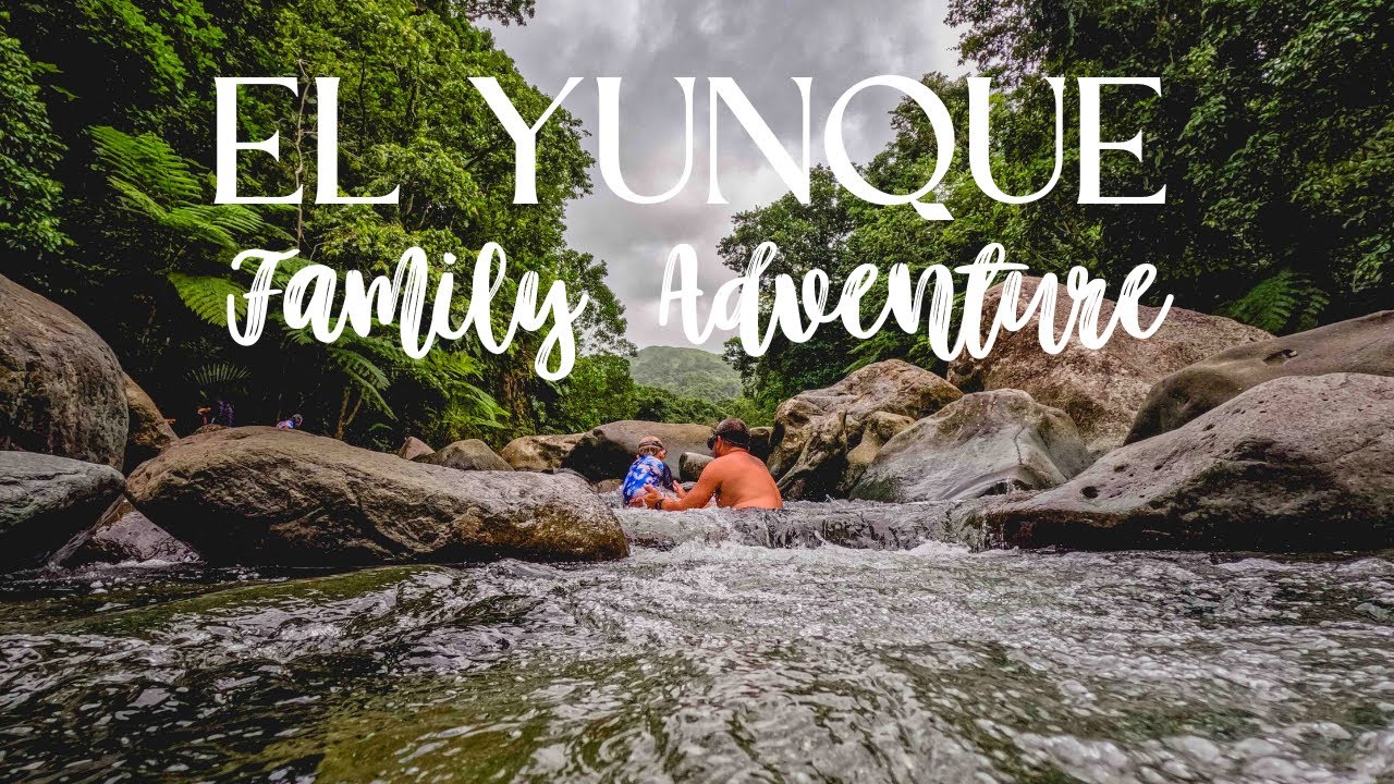 El Yunque National Forest, Puerto Rico - A family adventure