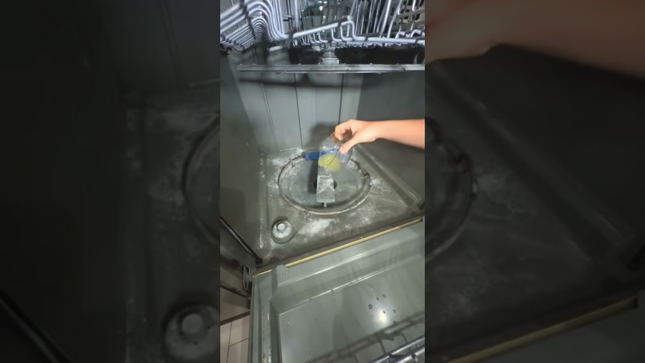 How to Clean a Dirty Dish Washer 🍋