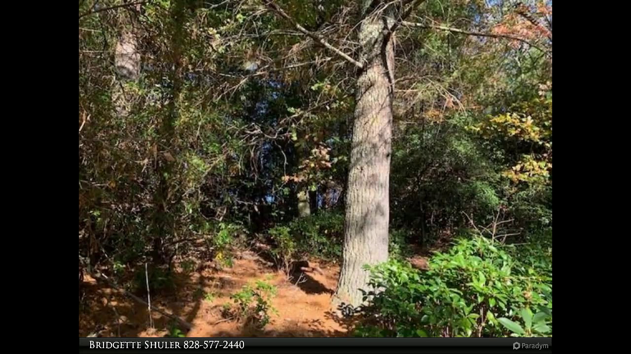 Connestee Falls Realty - TBD Rich Mountain Road