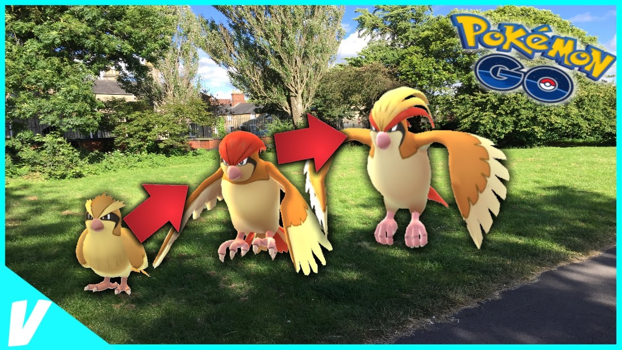 Pokemon Go Gameplay - MASSIVE EVOLUTION SPREE?!