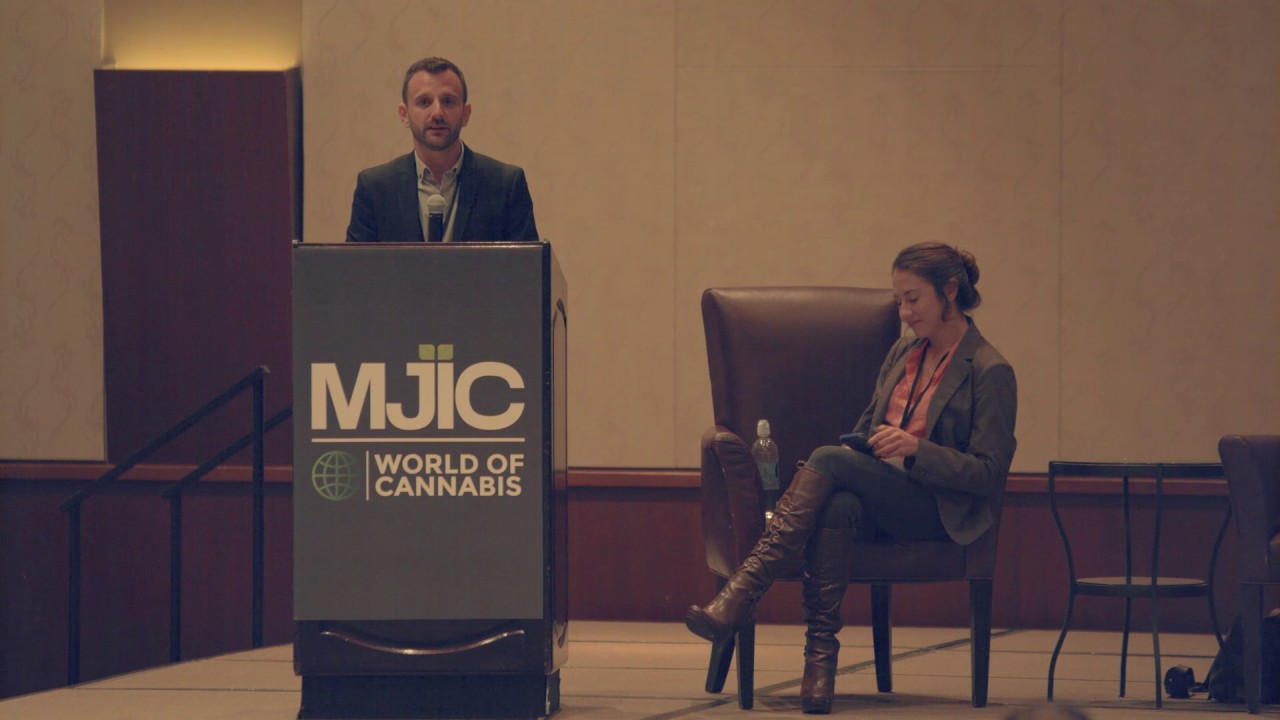 World of Cannabis Summit - Evoxe