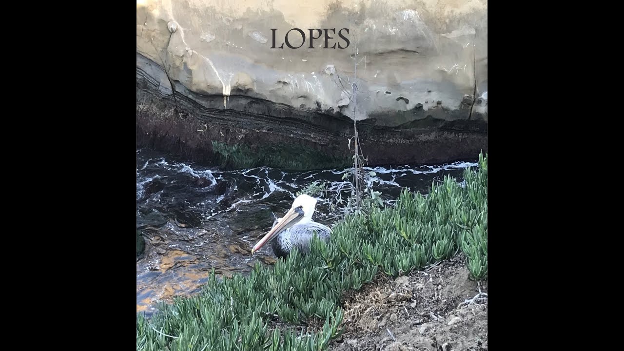 Lopes - N&atilde;o desanimar jamais