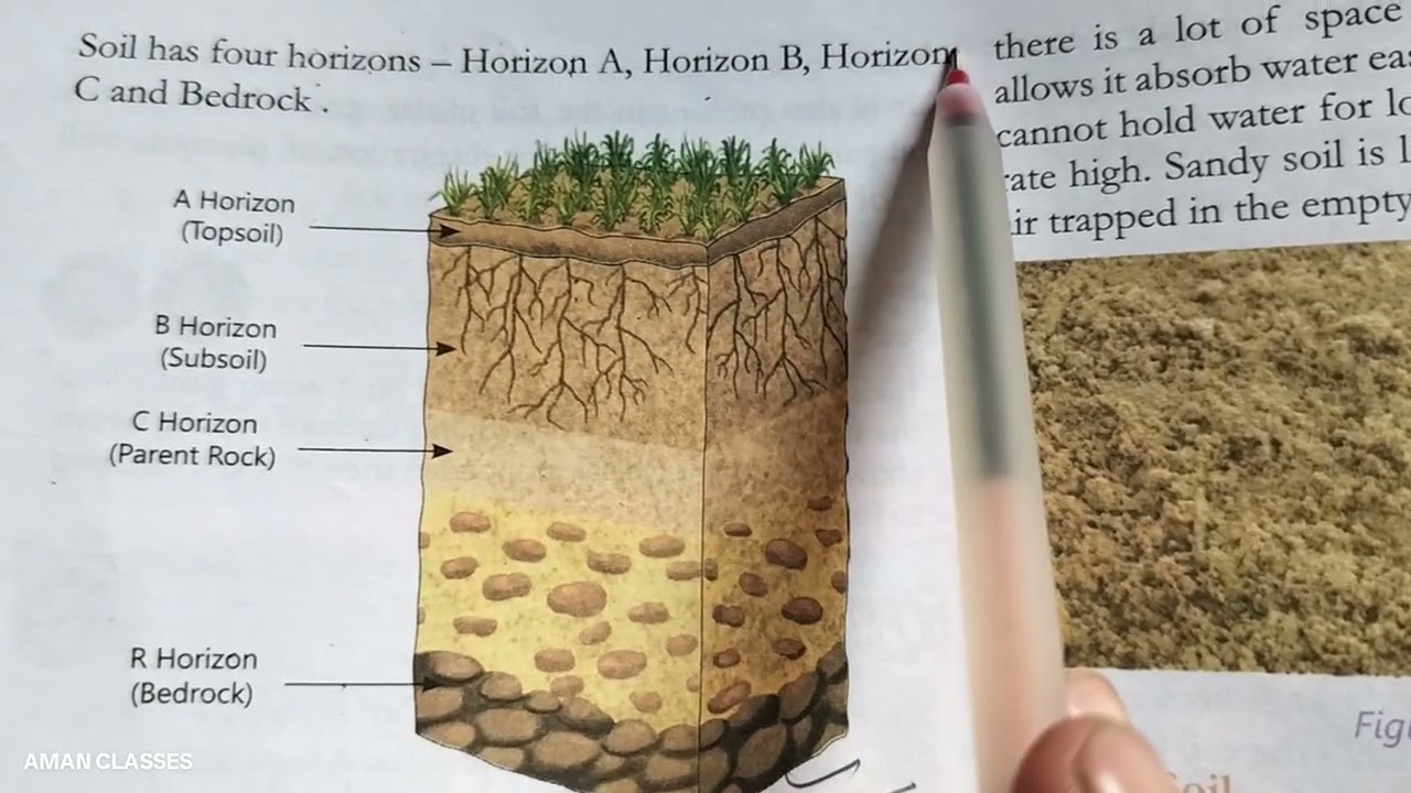 Soil profile and horizon A B C R#viral 