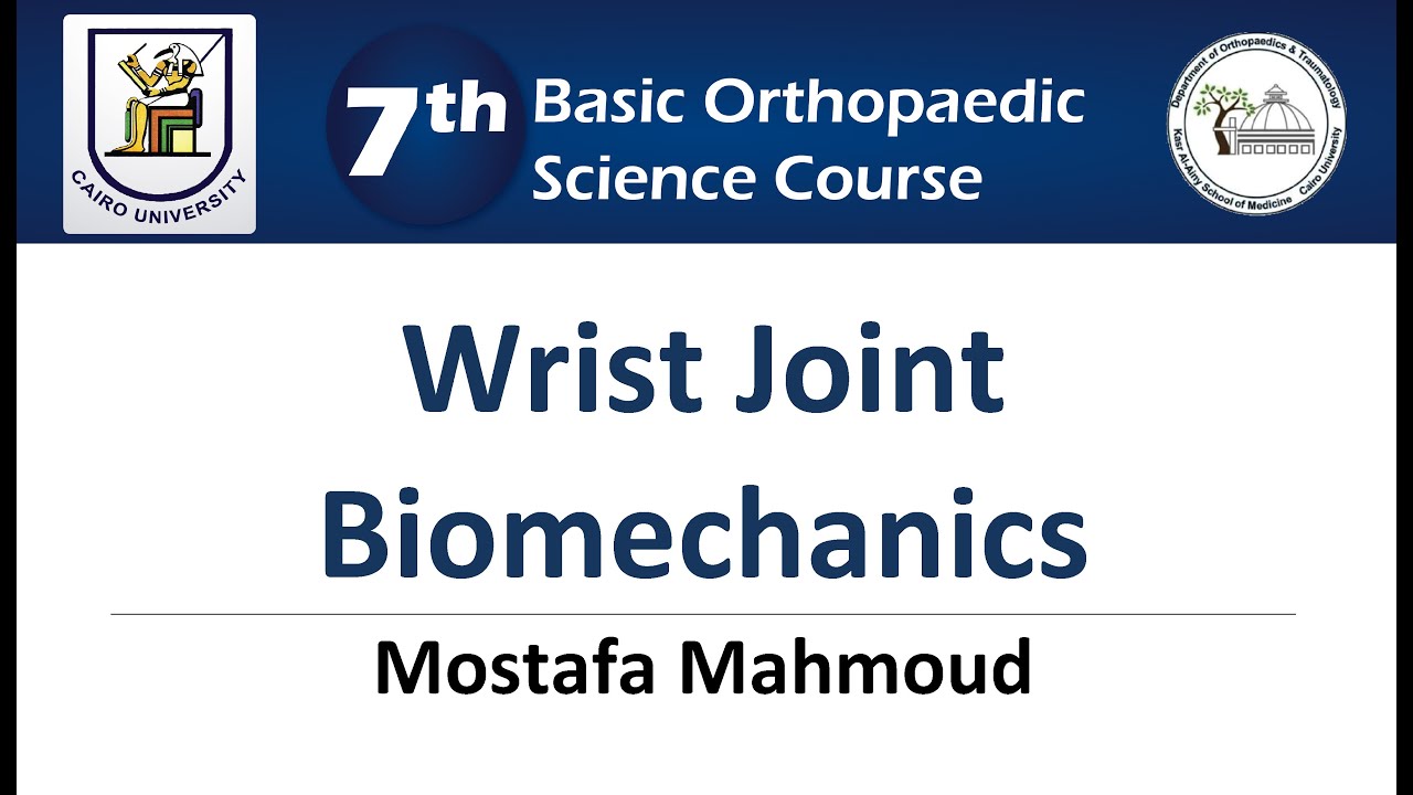 Wrist Joint Biomechanics