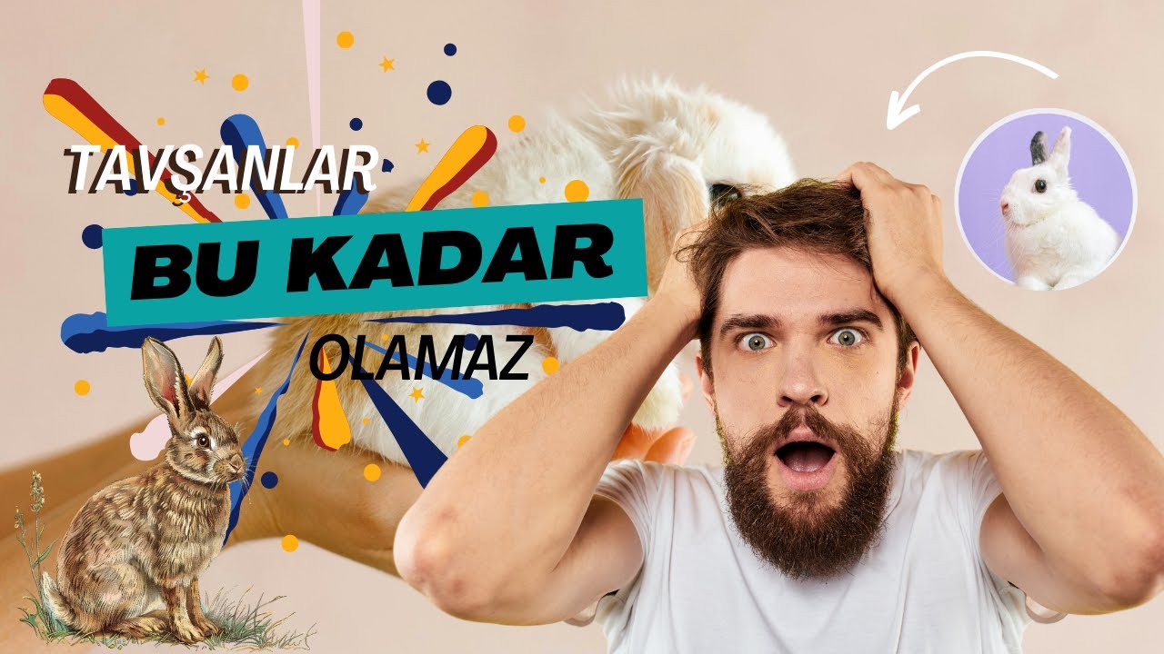 Tavşanlar Hakkında Bilmediğiniz 10 İlginç Gerçek! 🐇  Tavşanların Sırları