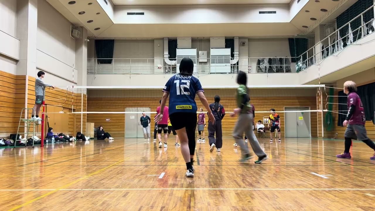 しん41（5）