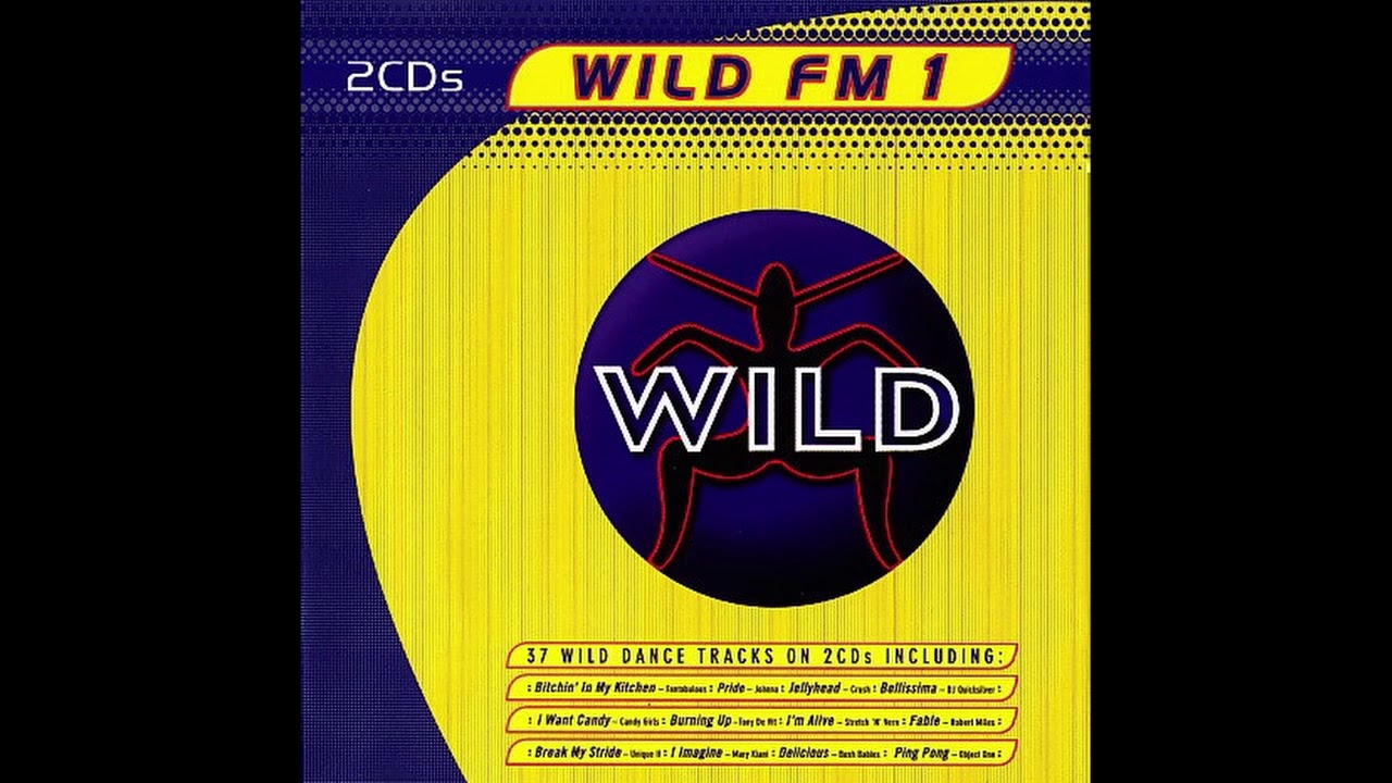 WILD FM 1 MEGAMIX - DIEGO V - EXTENDED [HQ]