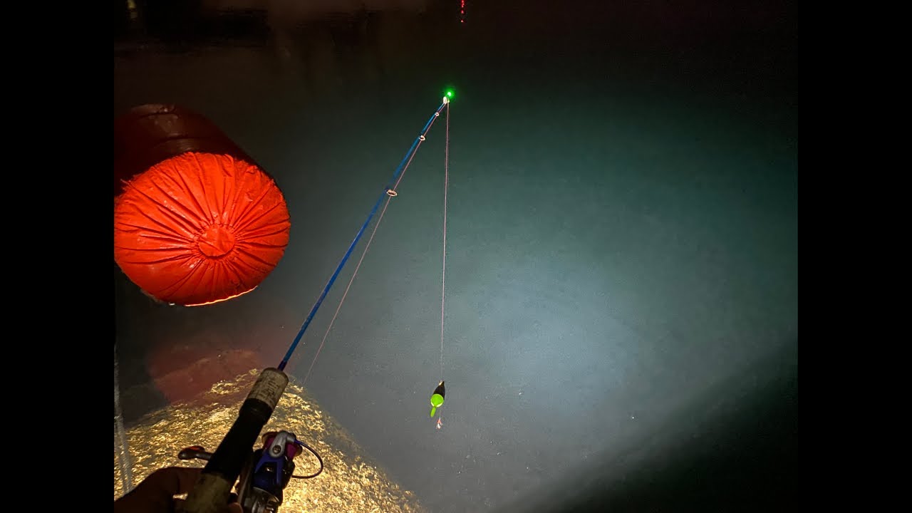 【配信】カサゴをひたすら釣るだけの配信