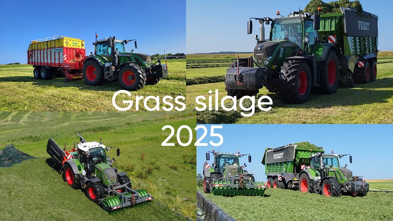 Grass silage 2025 - 2x Fendt 724 - Fendt 720 - Fendt 415 - Pöttinger - Holaras - Claas