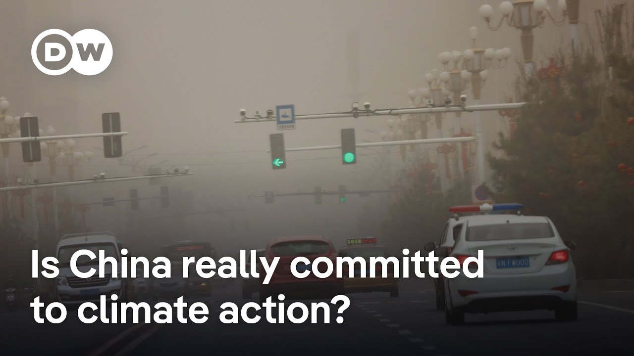 How China has taken the world's attention off the US at COP30 | DW News