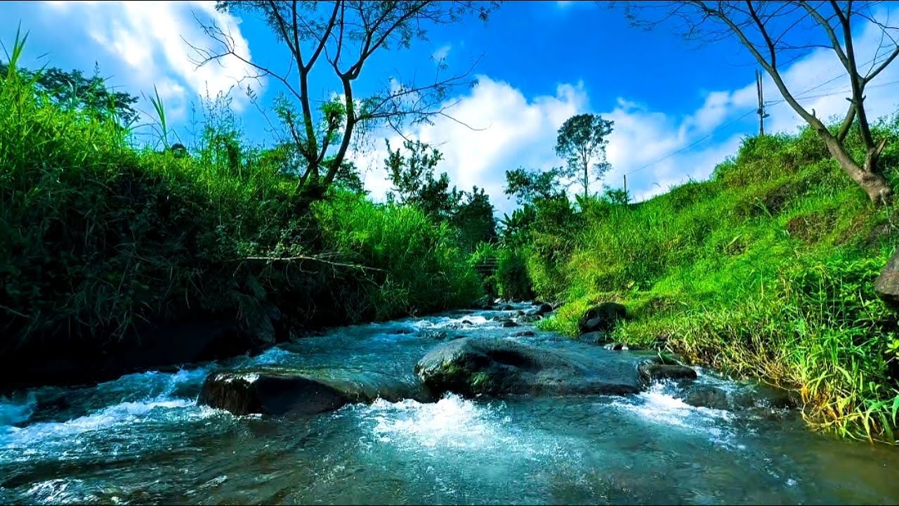 🔴 Whispers of the River | Relaxing Nature Sounds for Deep Sleep & Calm