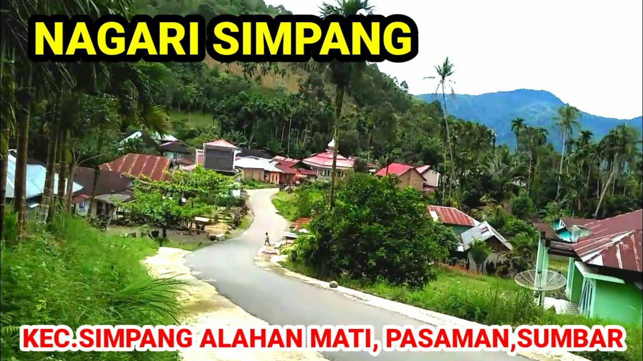 NAGARI SIMPANG, KEC.SIMPANG ALAHAN MATI, PASAMAN, SUMBAR@GADING KNL