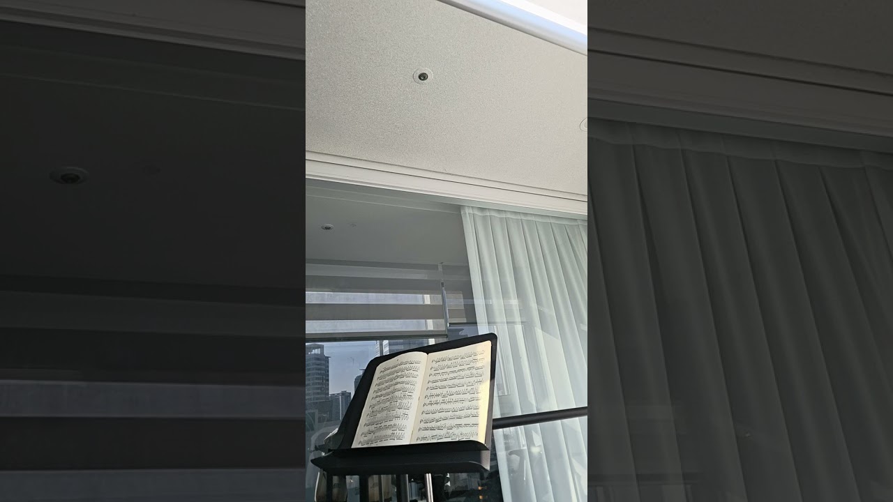 N. Paganini Caprice No.2 연습 260208 집