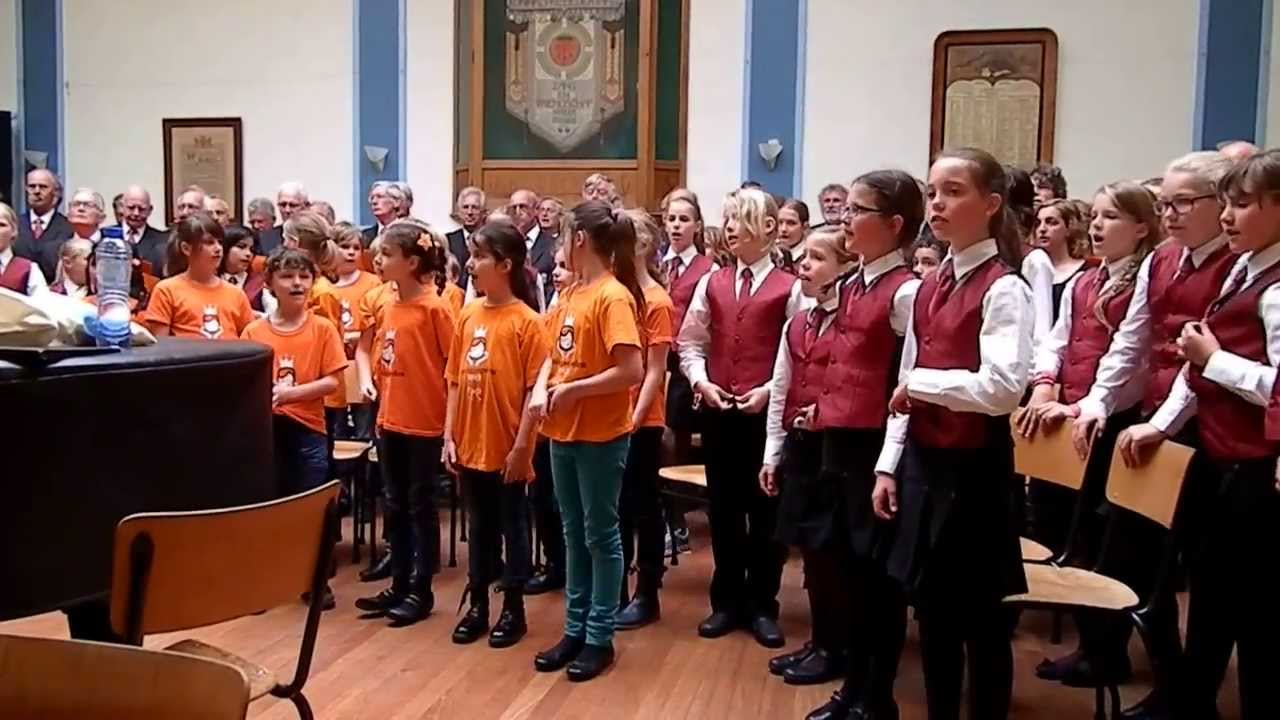 De klokken van Haarlem