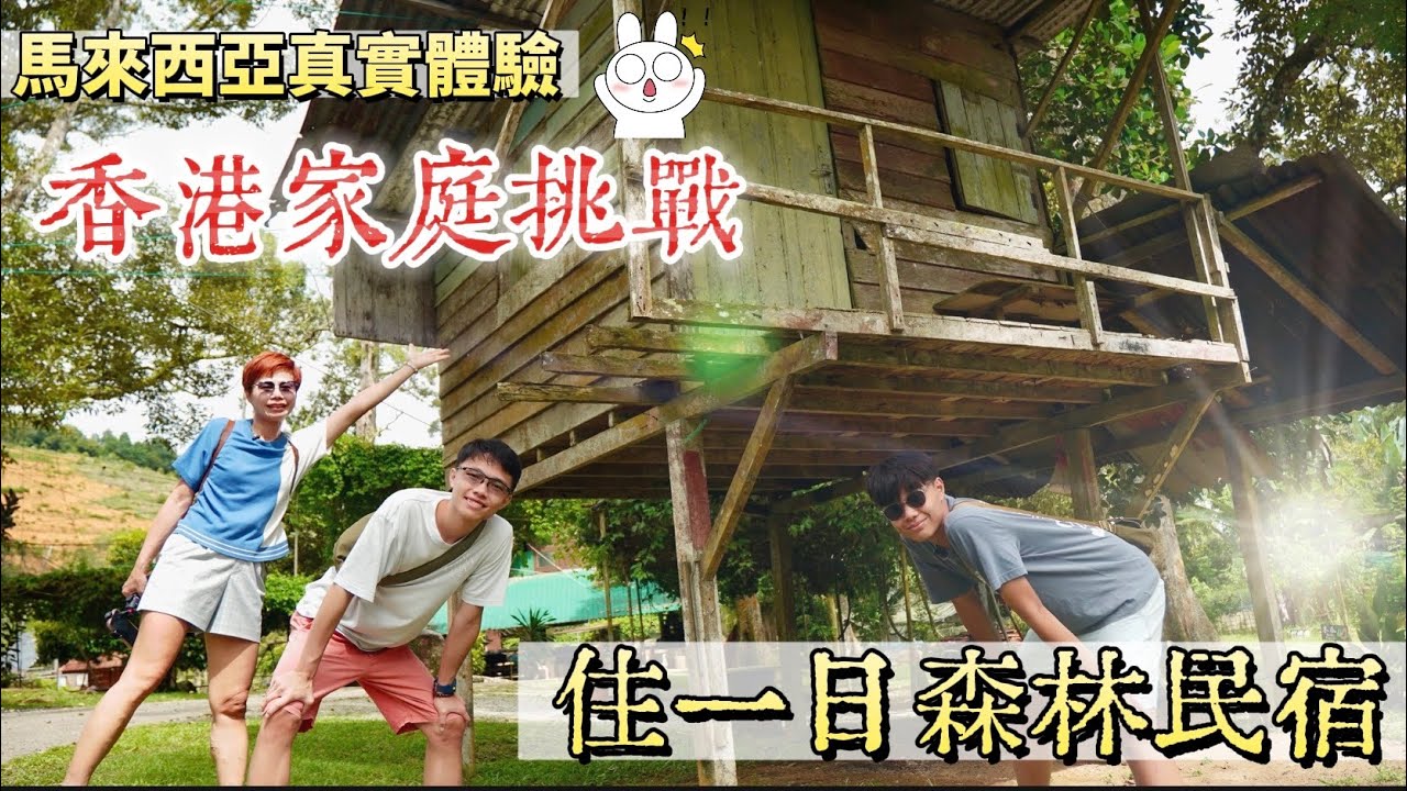 【Dusun Latar Perahu】初到貴境｜一家人第一次住森林果園民宿 原來真實體驗係咁 [中文 ENG] #mangohk #移居
