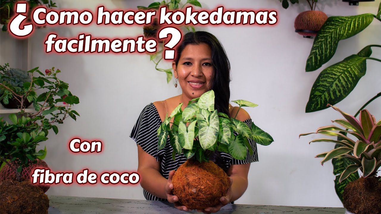 COMO HACER KOKEDAMAS CON FIBRA DE COCO/ MUY  FÁCIL