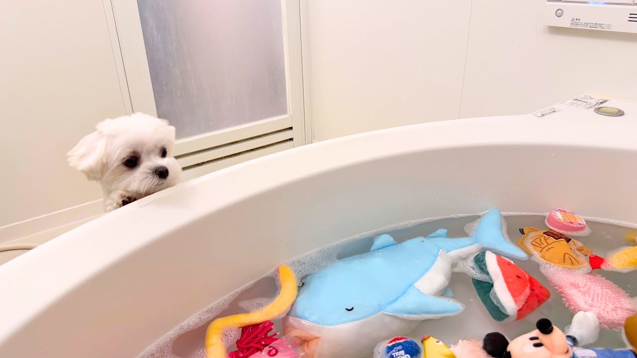 全部、大切なおもちゃだったのに。