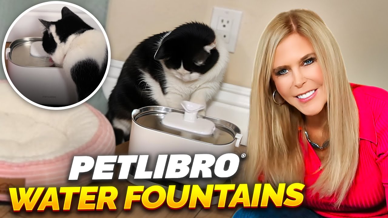 Petlibro Dockstream Pet Water Fountains: The Ultimate Guide for Every Cat Owner!