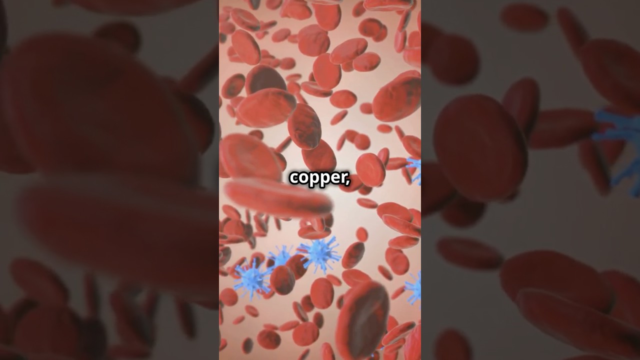 Why Copper is Essential for Your Health: Benefits, Deficiency Symptoms & Sources