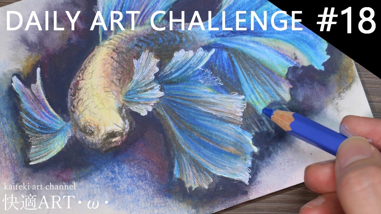 DAILY ART CHALLENGE #18 watercolor pencils illustration / Betta 一日一絵！水彩色鉛筆でベタのイラストを描く