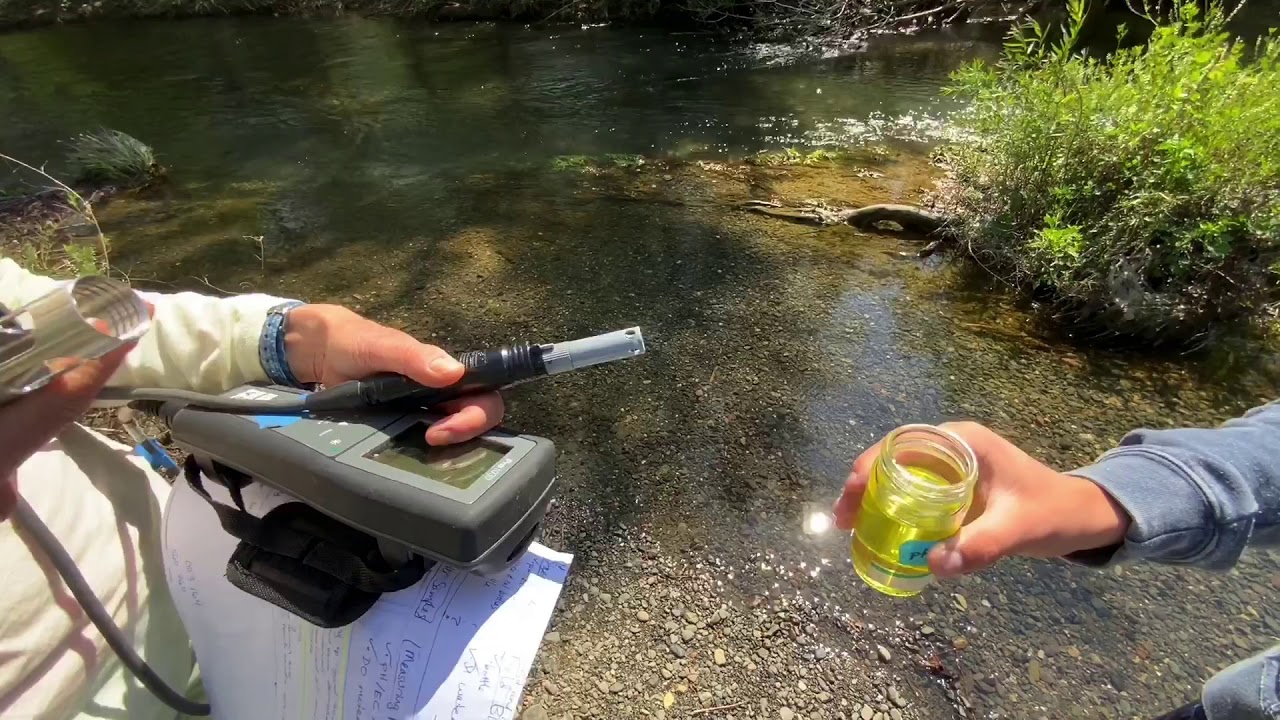 Field Standard Check