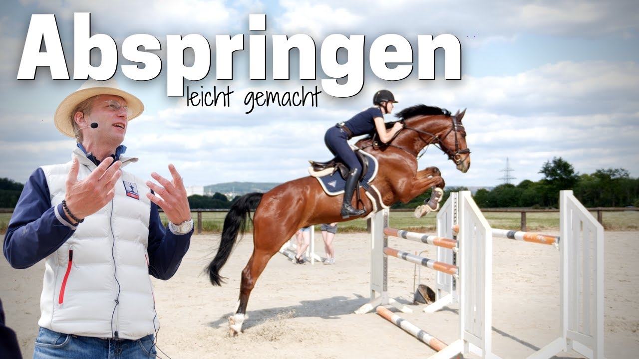 Wie reite ich richtig ab?🤷🏻‍♀️| Abreiteplatz Springen🎠| ClipMyHorse.TV Academy 🎓