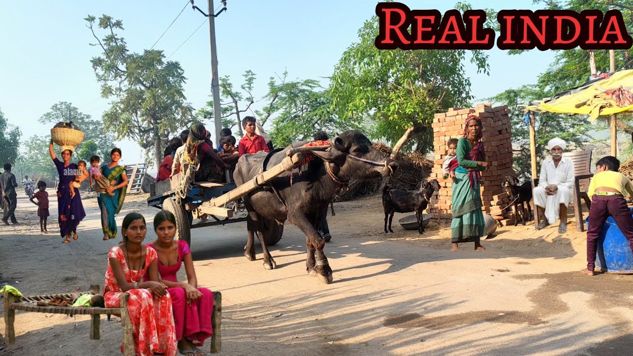 Live the real and simple life of village people in India. How is the life of village people #Real