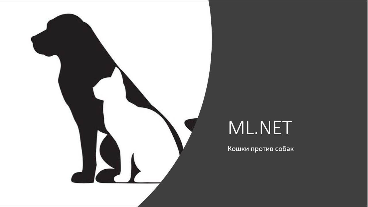 ML.NET классификатор изображений на C# в домашних условиях без регистрации и СМС