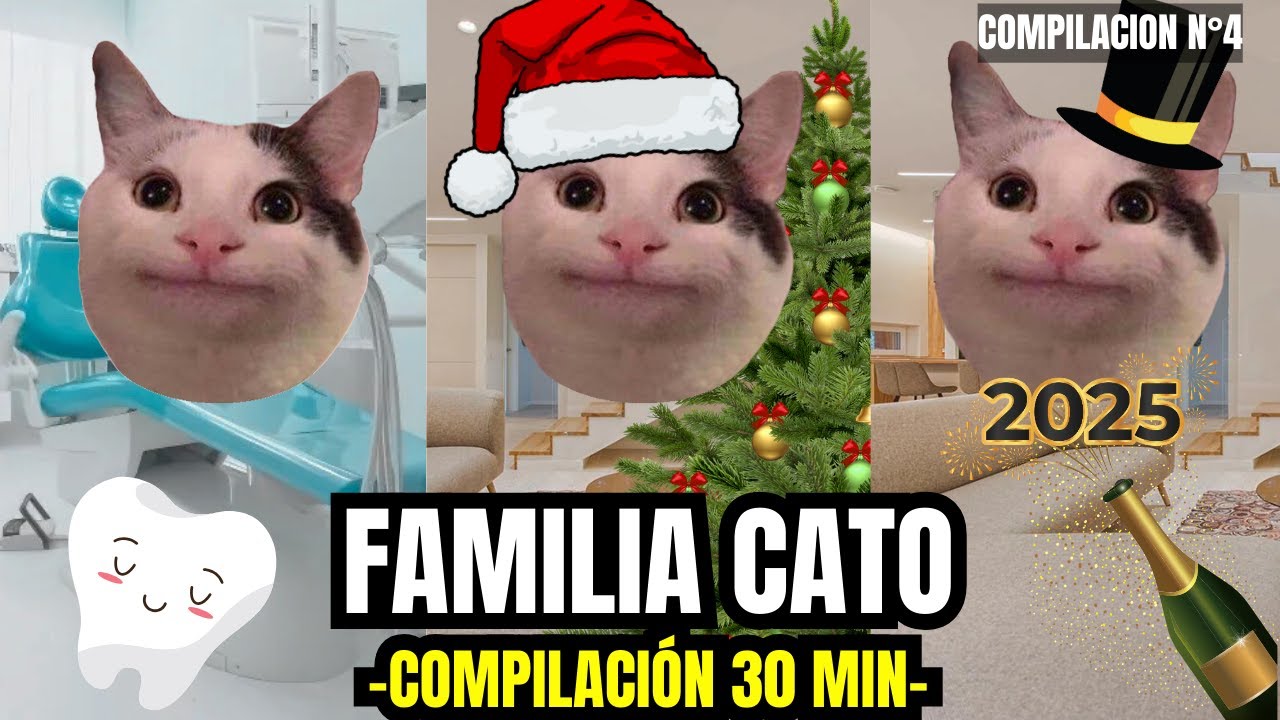 FAMILIA CATO, compilación n°4 de 30 minutos (meme de gatos)