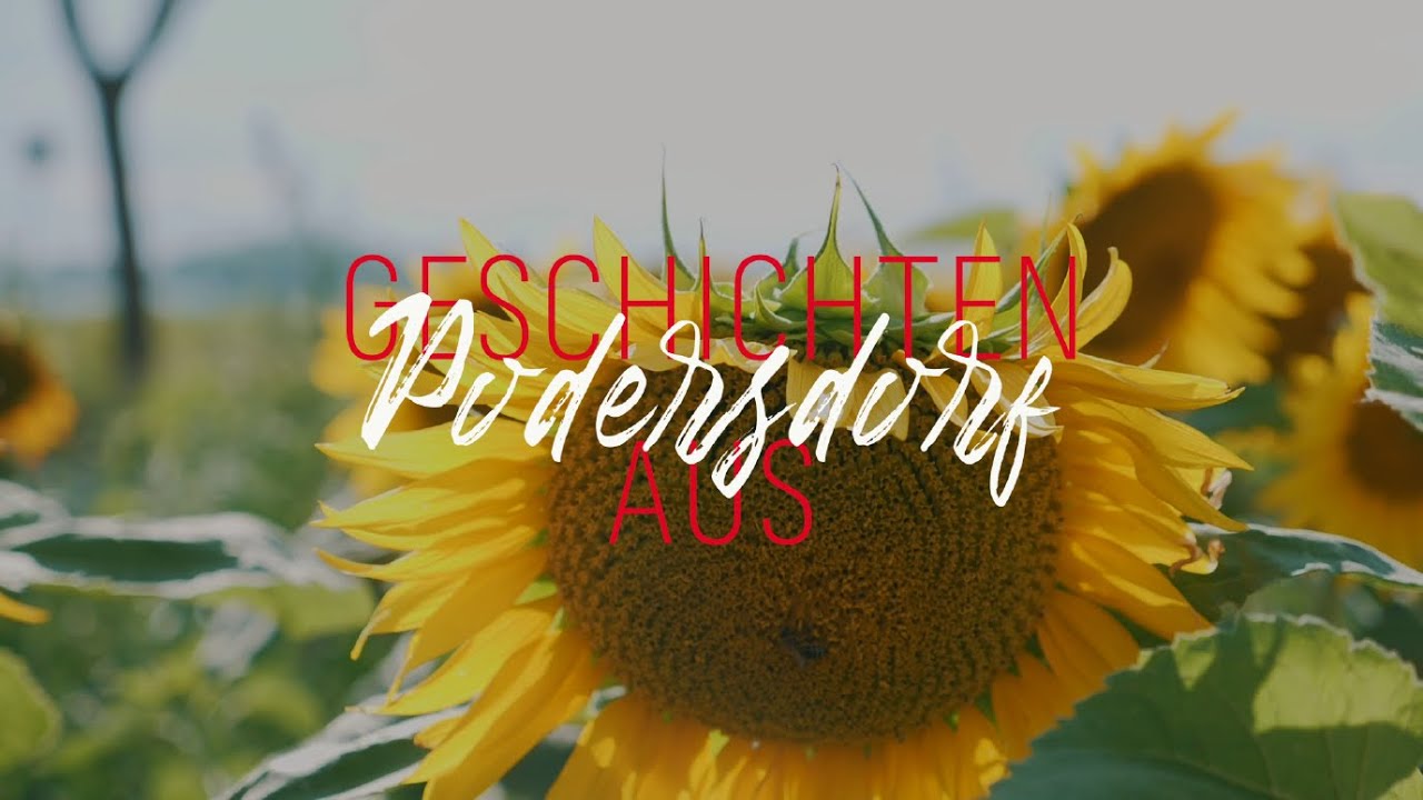 Geschichten aus Podersdorf: #2 Martin Steiner