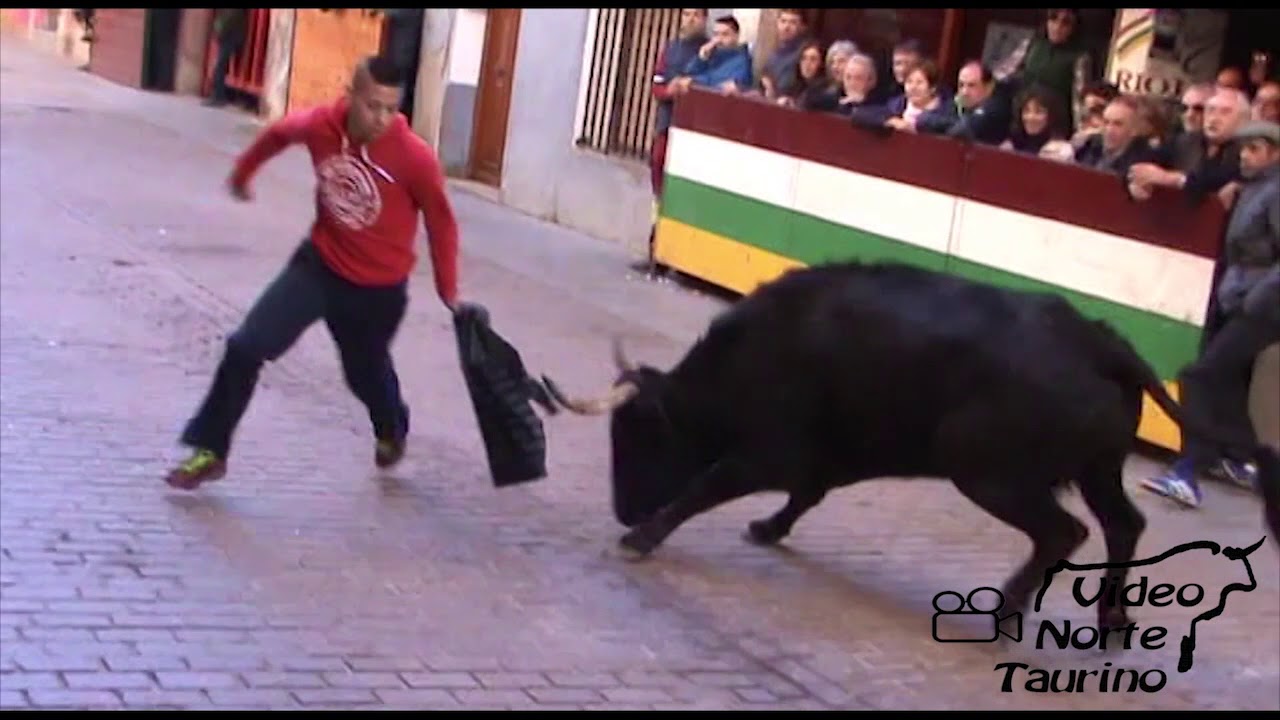 Aldeanueva de ebro  04-01-2015