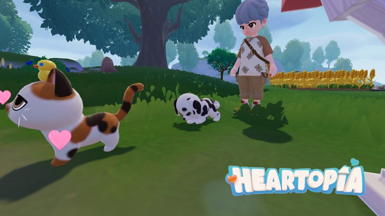 Live  : Kemaleman - Heartopia