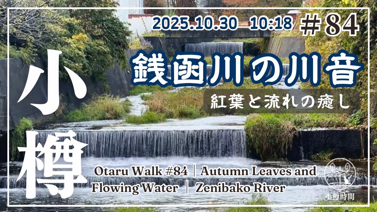 【小樽さんぽ#84｜うみまち編】銭函川の川音｜紅葉と流れの癒し　The Sound of Zenibako River｜Autumn Leaves and Flowing Water