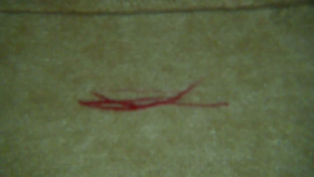 エンゲルス 腔綫銃と腔綫銃射撃ーランカスター銃とエンフィールド銃