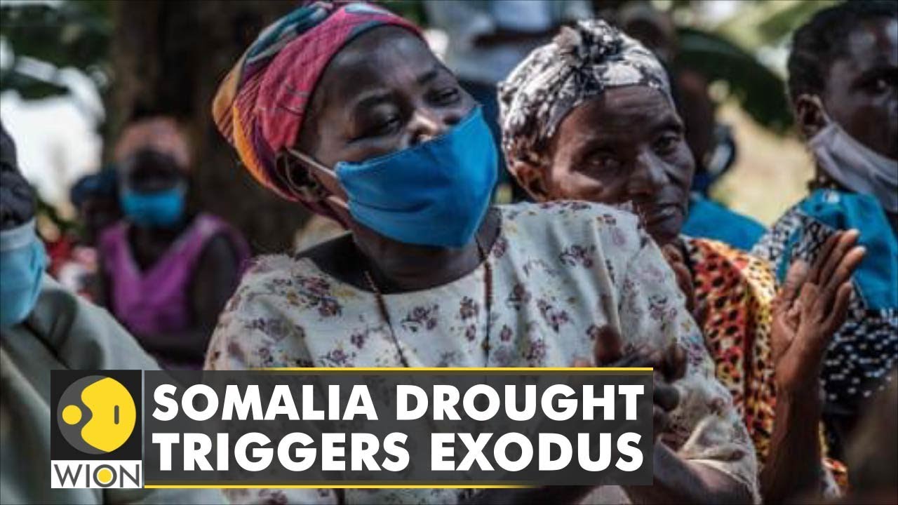World Bank: 86 million Africans to become climate migrants by 2050 | WION Climate Tracker