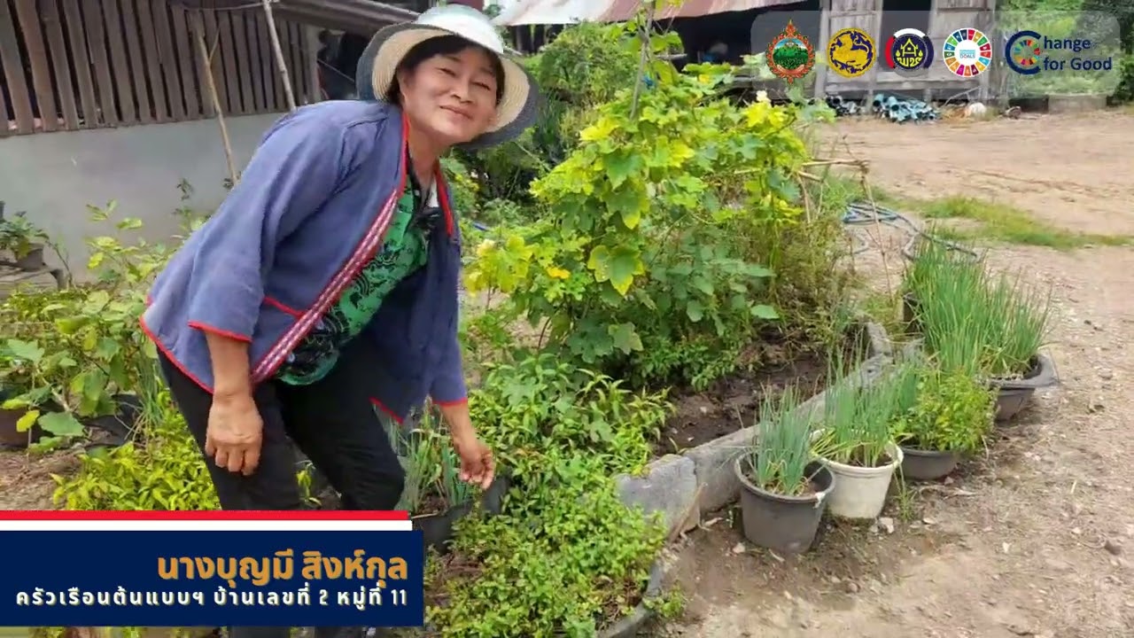 1 อำเภอ 1 หมู่บ้านต้นแบบ 10 ครัวเรือนปลูกผัก หมู่ 11 ต.วังศาล อ.วังโป่ง จ.เพชรบูรณ์