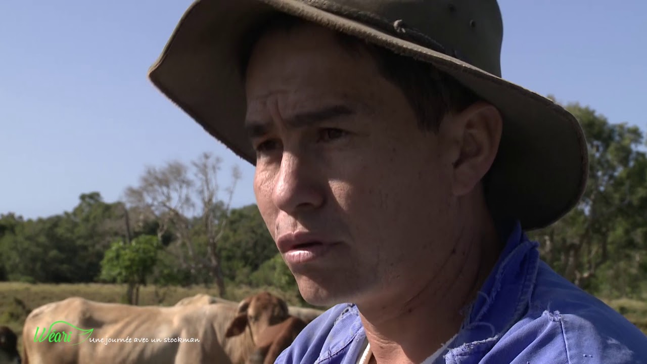 WÉARI ! Une journée chez un stockman