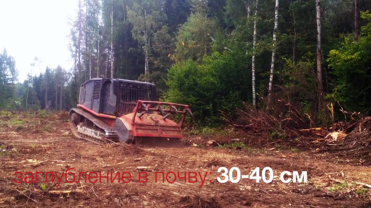 Мульчер Раптор 800  Raptor 800 AHWI Prinoth лесная техника