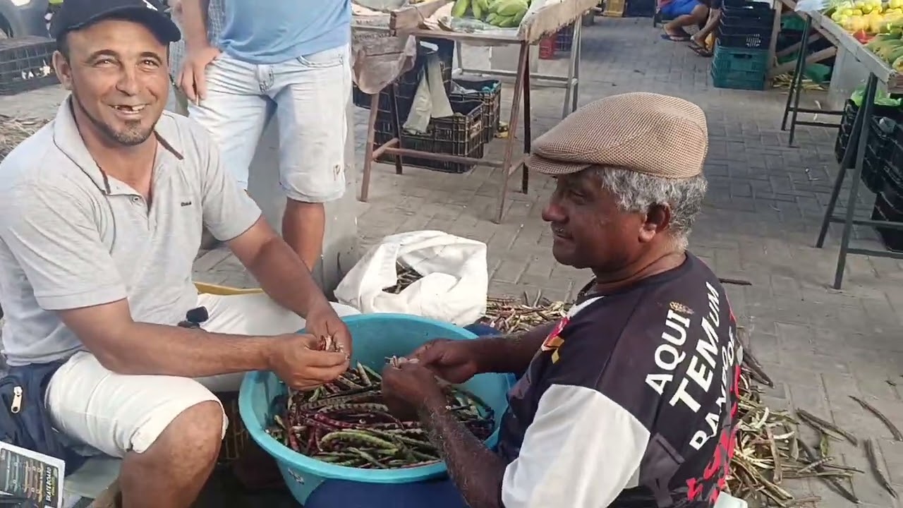 Mostrando a feira de fruta em 2026