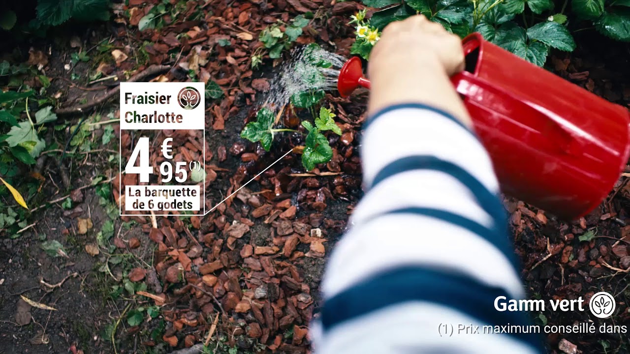 Gamm vert FRAISIER - Spot pub 2019