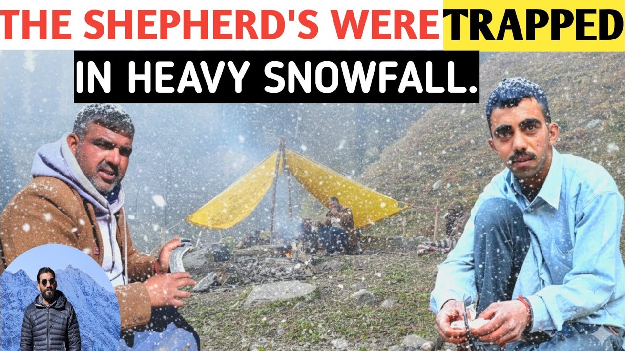 Nomadic Shepherd's Stucked in Heavy Snowfall or Snowstorm. Nomadic Gujjar Shepherd (Real Story)