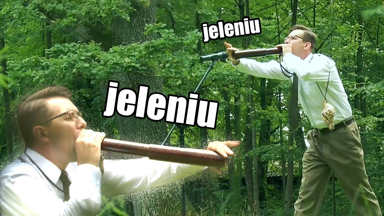 Tak się wabi jelenie. Byliśmy tam z kamerą