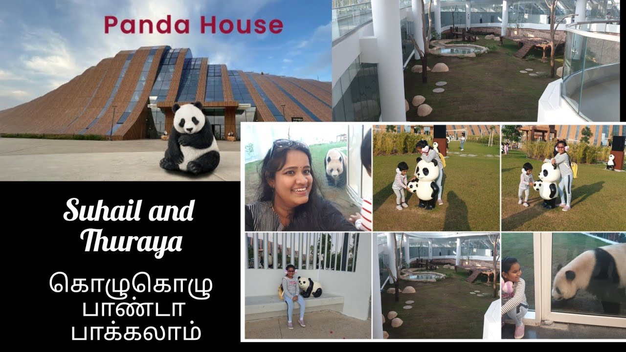 என்னருகே பாண்டா| panda house qatar|Explore qatar |Alkhor