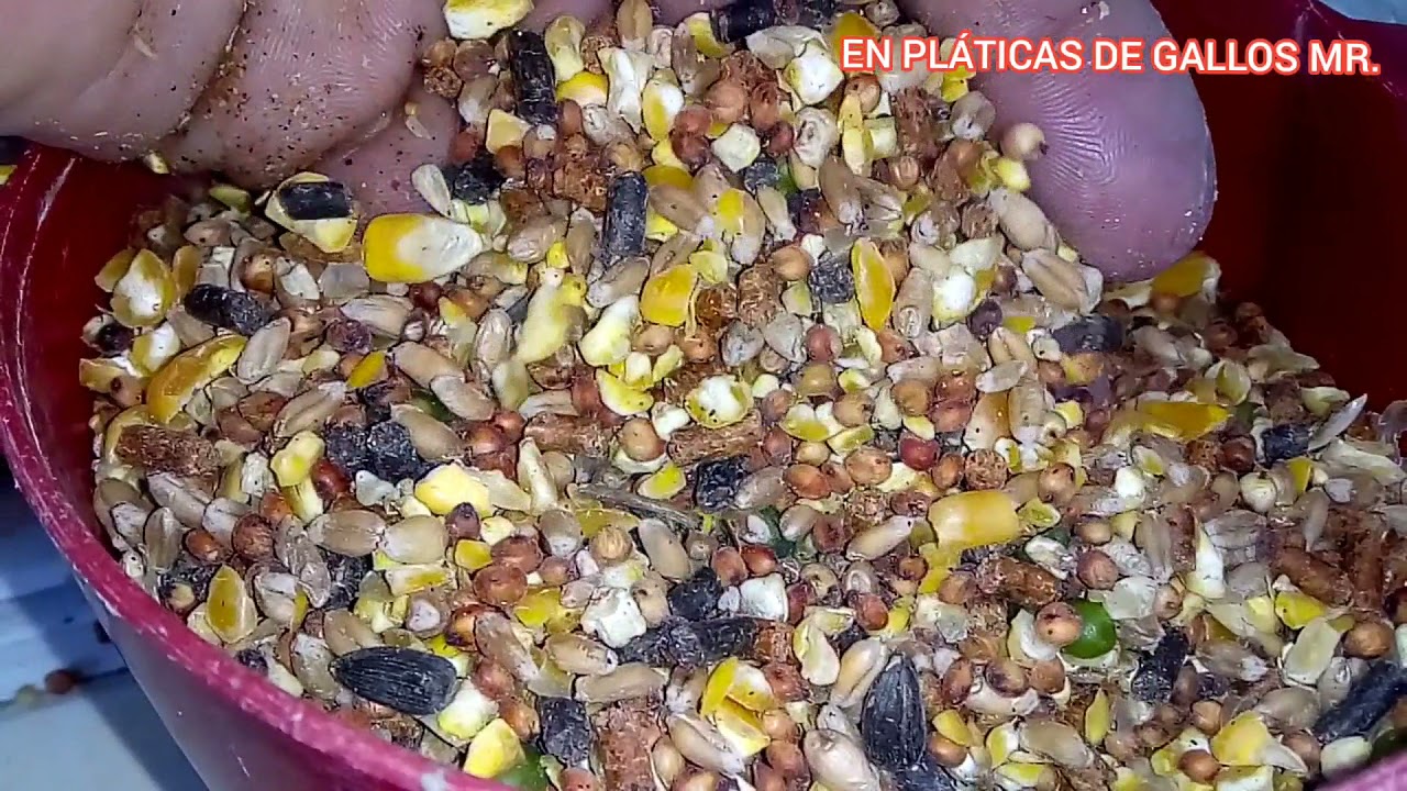 ALIMENTO, SEMILLAS SELECTAS.