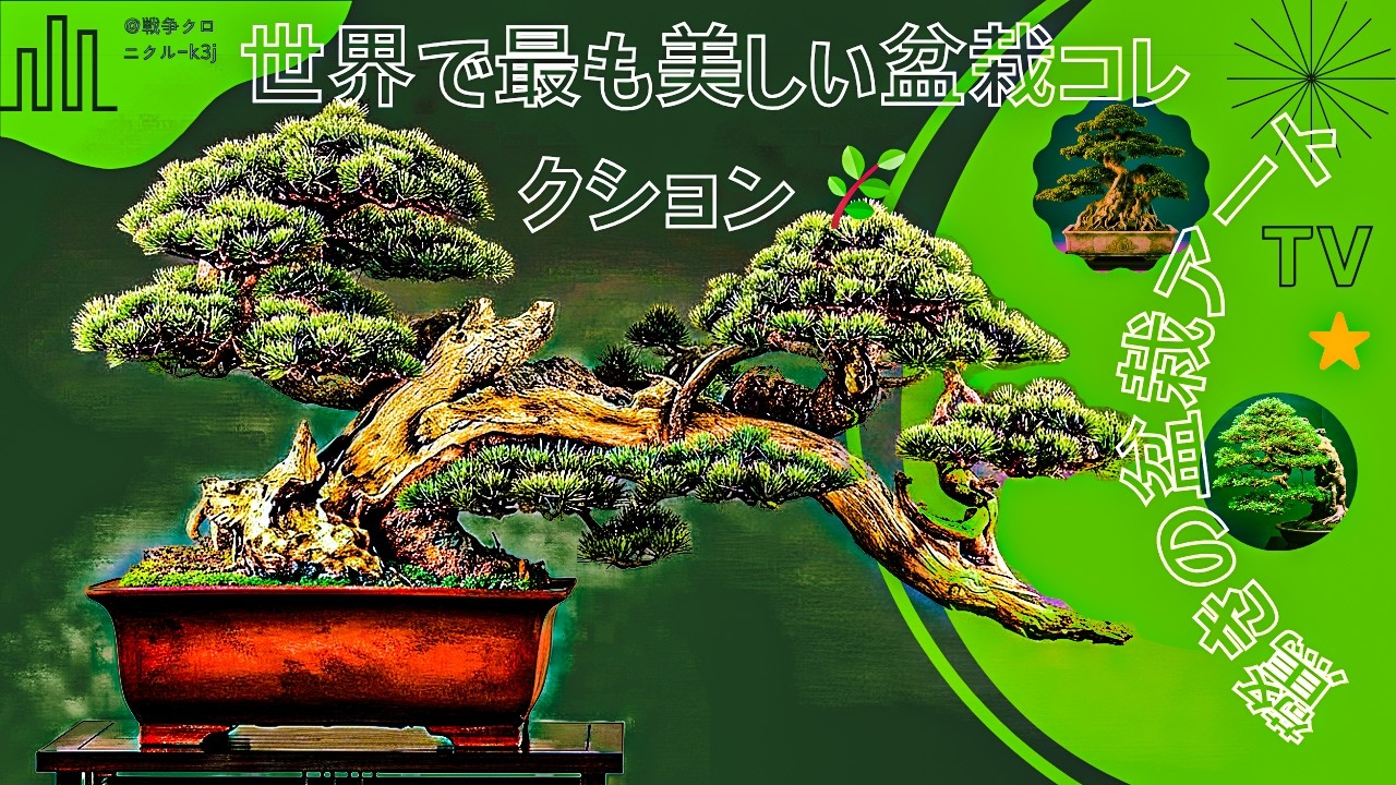 世界で最も美しい盆栽コレクション 🌿 驚きの盆栽アート