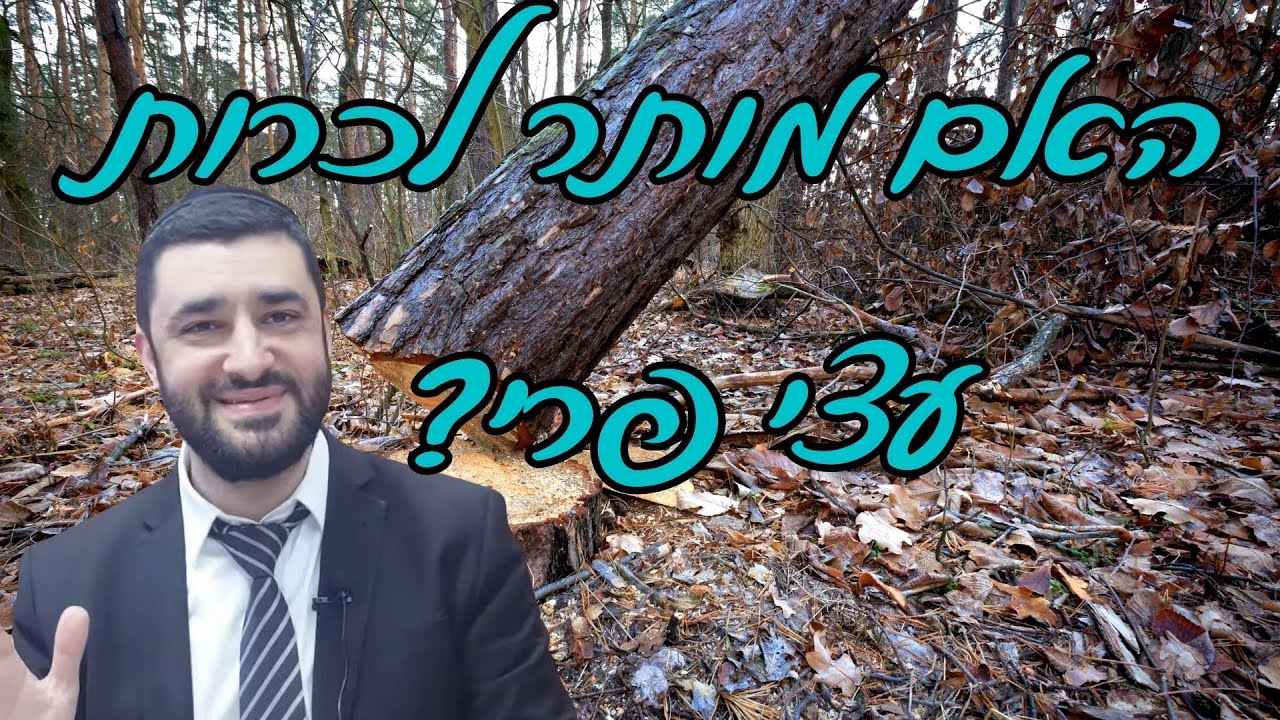 הרב ישראל יעקובוב | האם מותר לכרות עצי פרי?