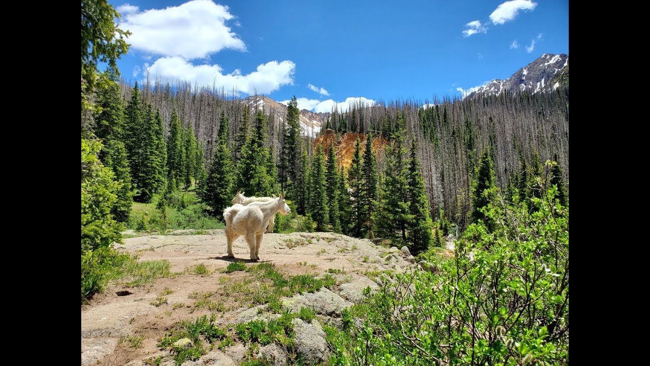 Chicago Basin CO 14ers -- Eolus, North Eolus, Sunlight, Windom (from Purgatory -- no Train!)