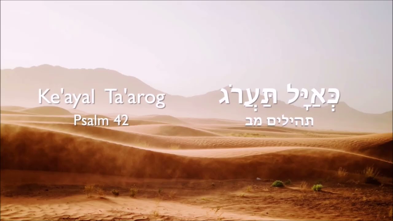 13.  Bo Go-Enter  =  Brit Chadashah Portion Luke 2 27-30  1 Corinthians 11 20-34