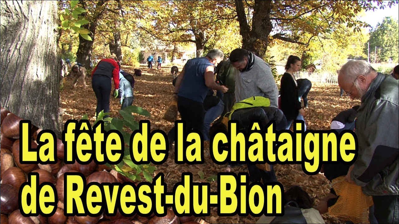 La fête de la châtaigne de Revest-du-Bion  - Provence TV