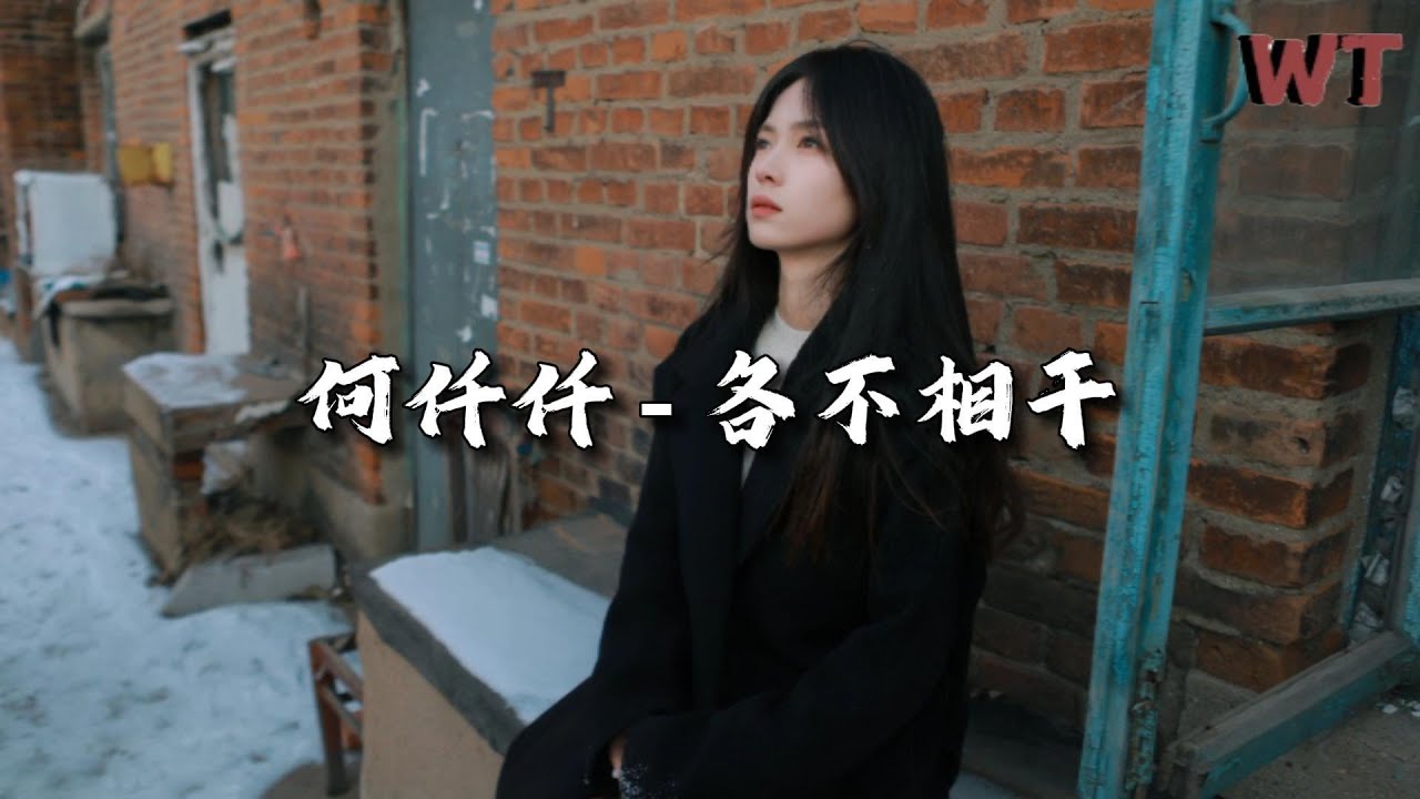 何仟仟 - 各不相干『甘愿去做你的软弱配衬，就算过程沉重 就算不成唯一。』【动态歌词MV】